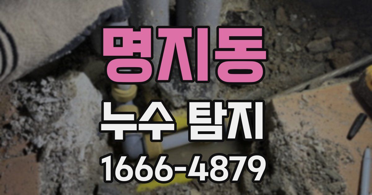 명지동 누수 탐지