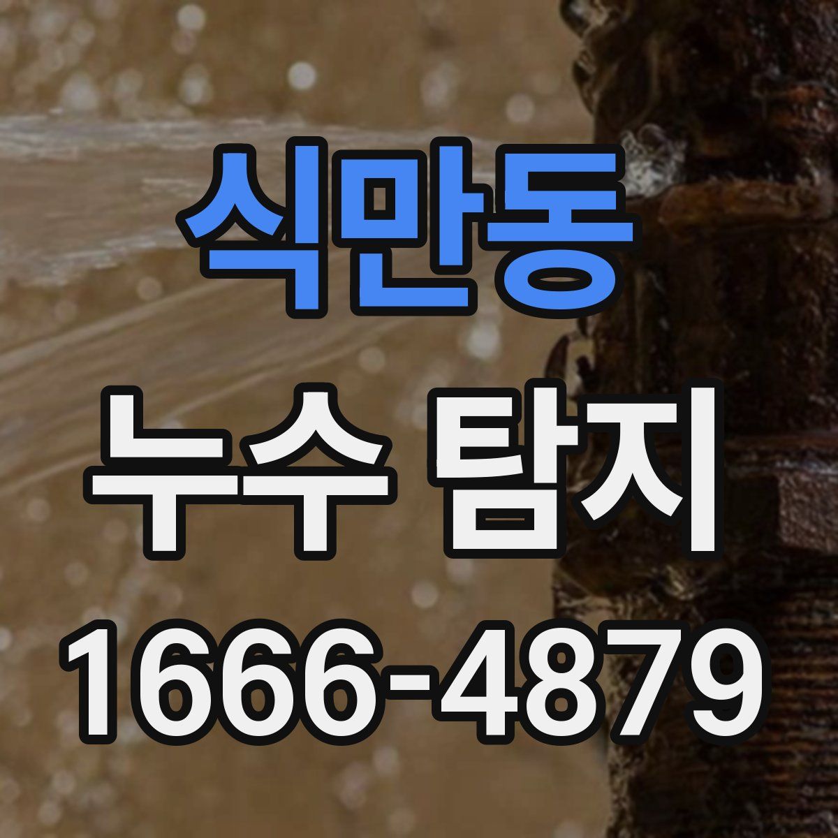 식만동 누수 탐지