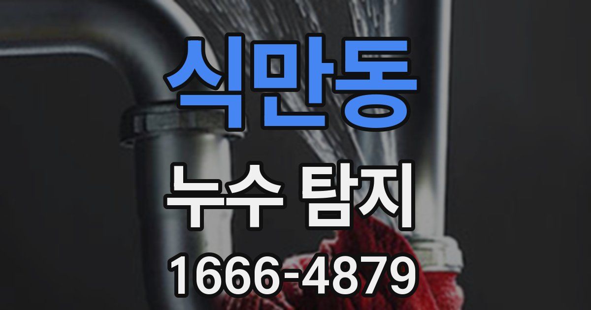 식만동 누수 탐지