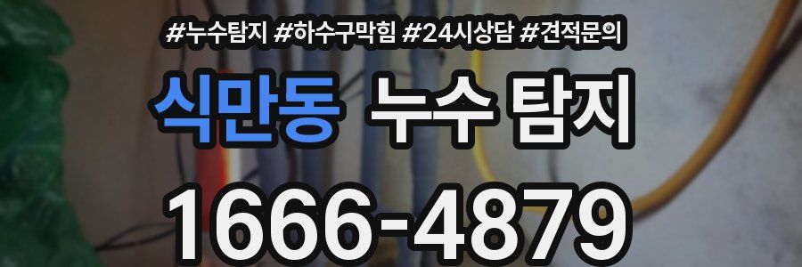 식만동 누수 탐지