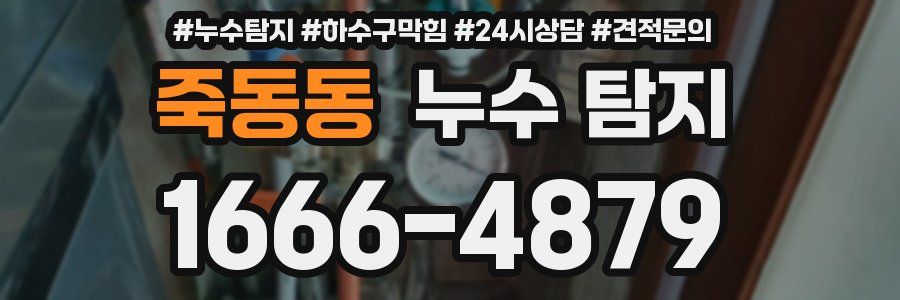 죽동동 누수 탐지