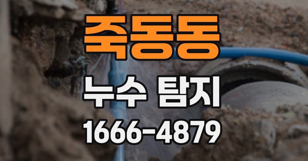 죽동동 누수 탐지