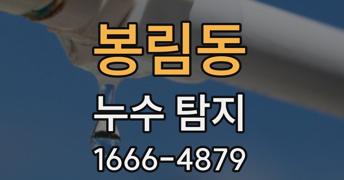 봉림동 누수 탐지