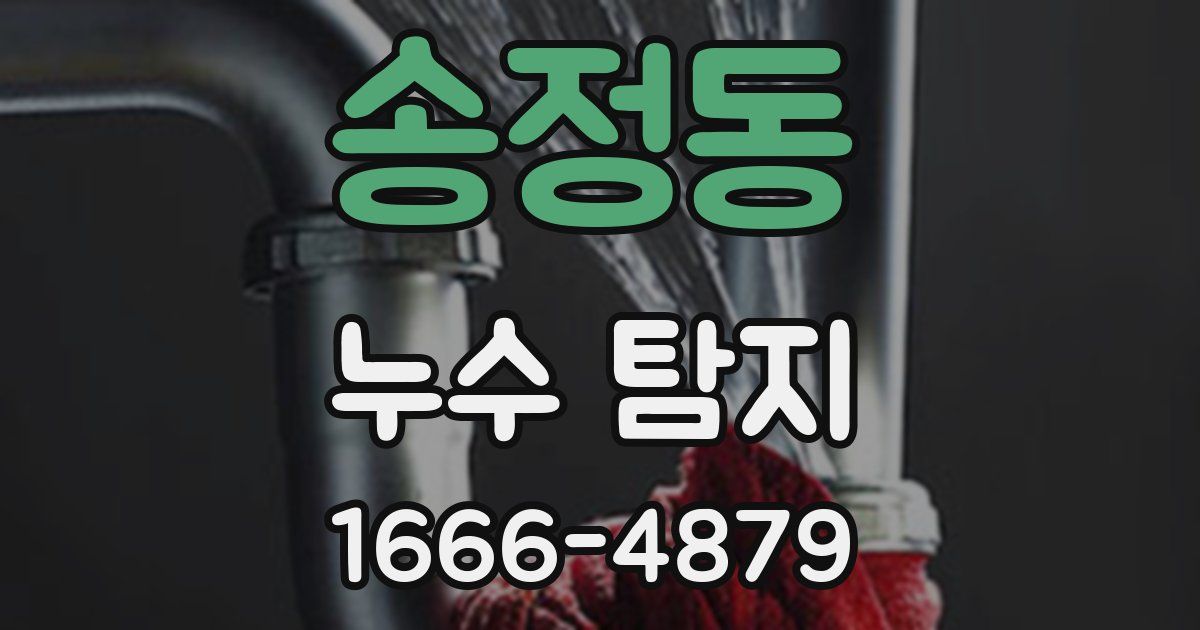 송정동 누수 탐지
