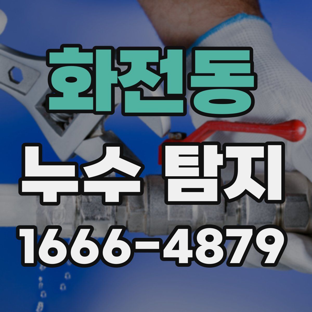 화전동 누수 탐지