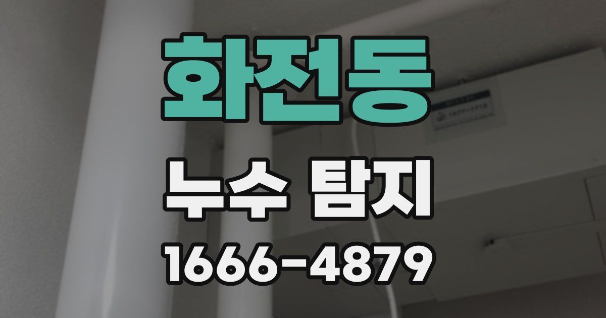 화전동 누수 탐지