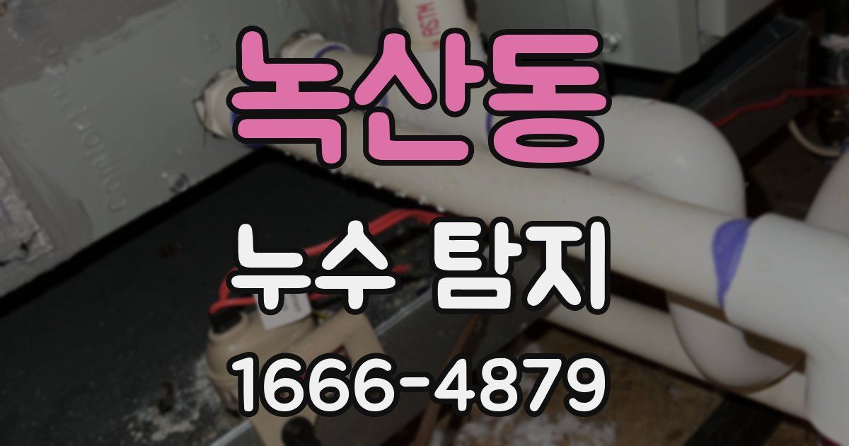 녹산동 누수 탐지
