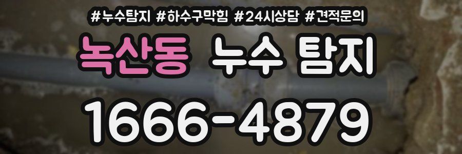 녹산동 누수 탐지