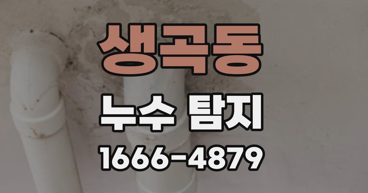 생곡동 누수 탐지