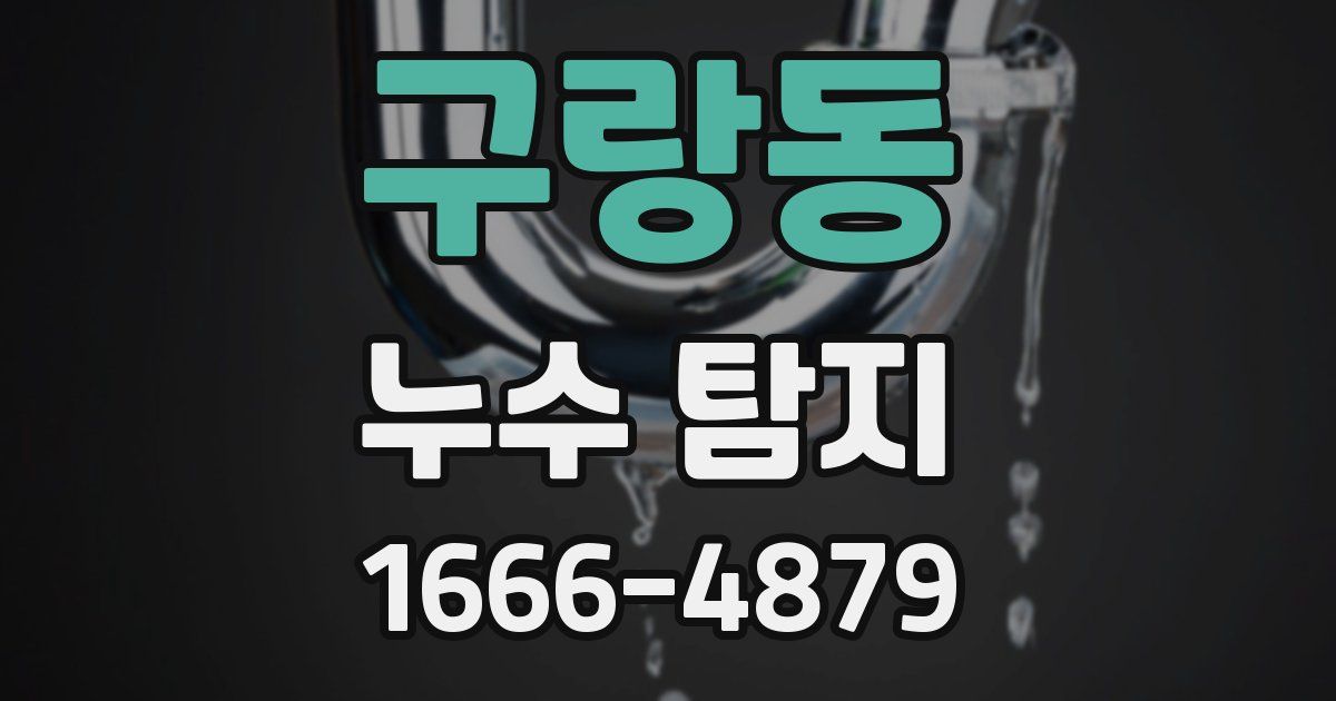 구랑동 누수 탐지