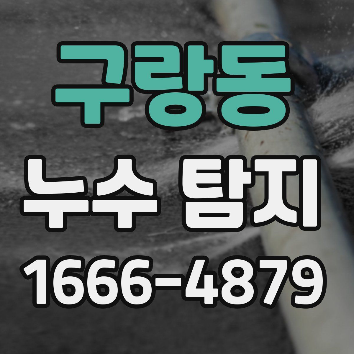 구랑동 누수 탐지