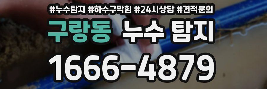 구랑동 누수 탐지