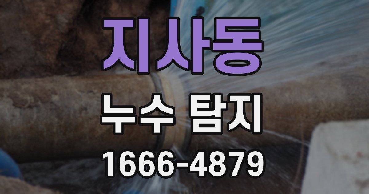 지사동 누수 탐지