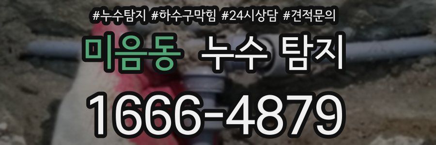 미음동 누수 탐지
