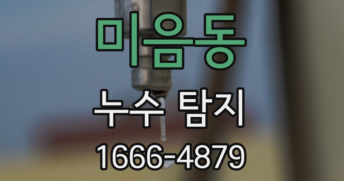미음동 누수 탐지