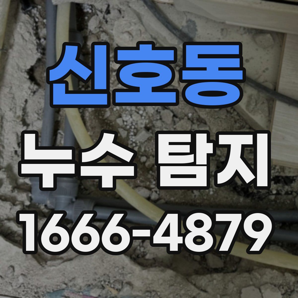 신호동 누수 탐지