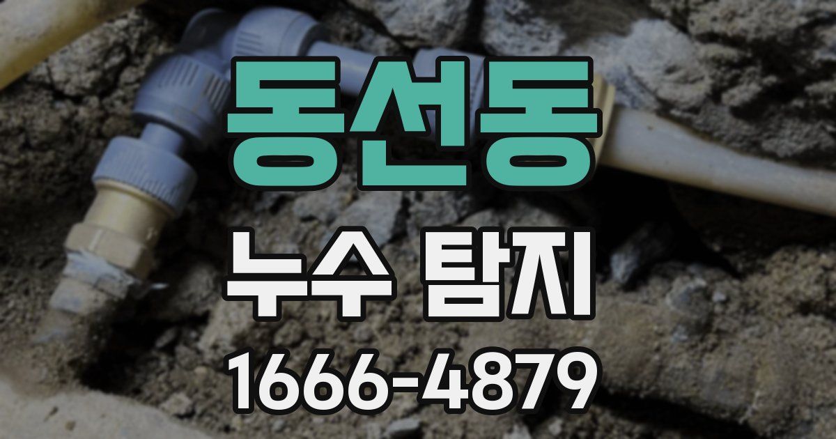 동선동 누수 탐지