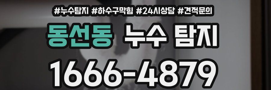 동선동 누수 탐지