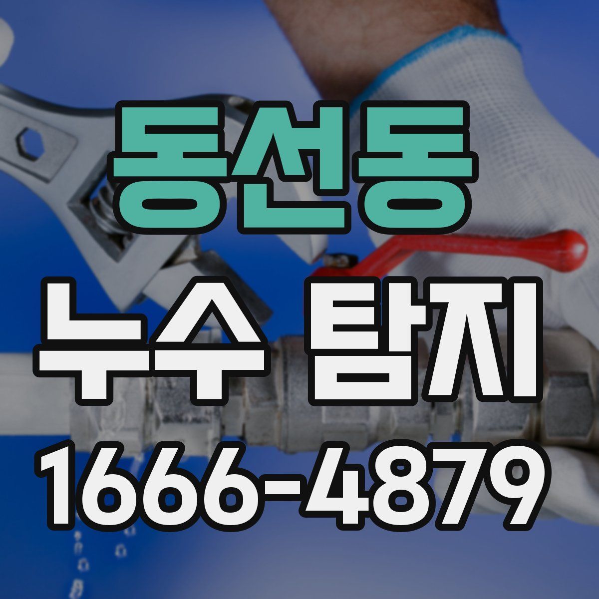 동선동 누수 탐지