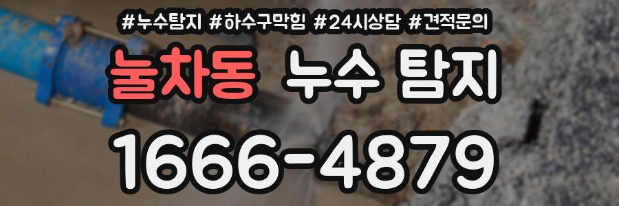 눌차동 누수 탐지