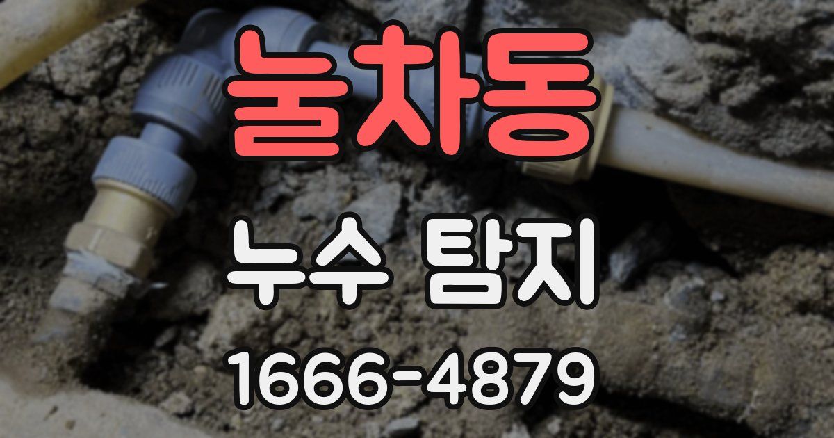 눌차동 누수 탐지