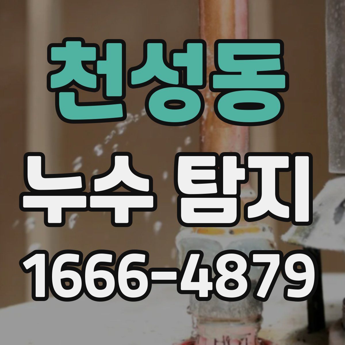 천성동 누수 탐지