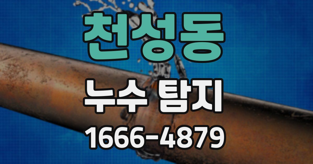 천성동 누수 탐지