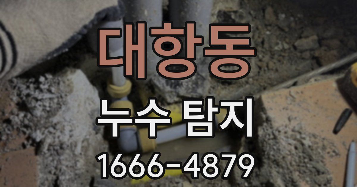 대항동 누수 탐지
