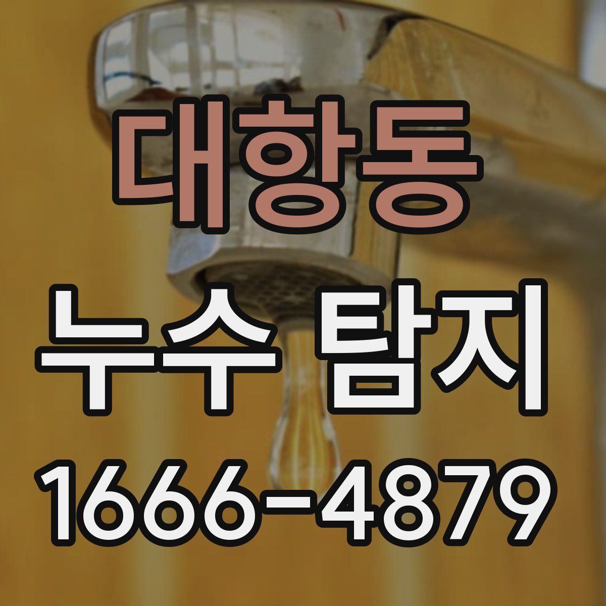 대항동 누수 탐지