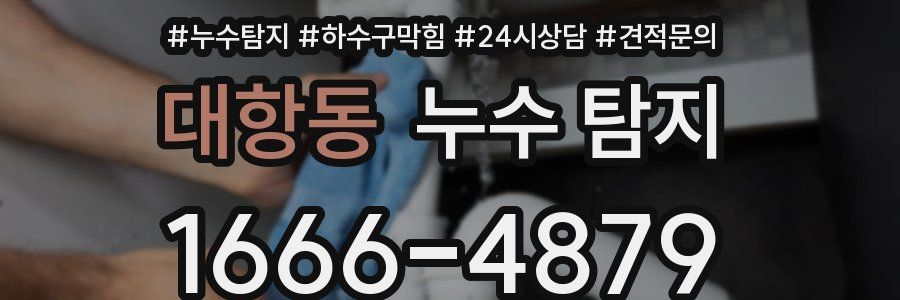 대항동 누수 탐지
