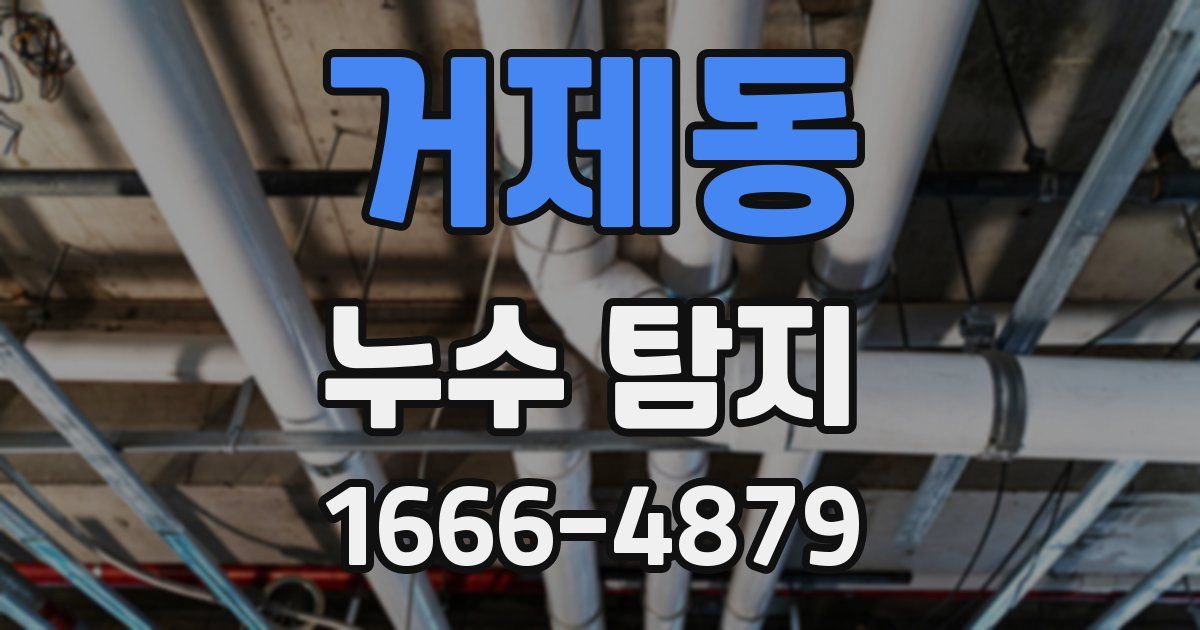 거제동 누수 탐지