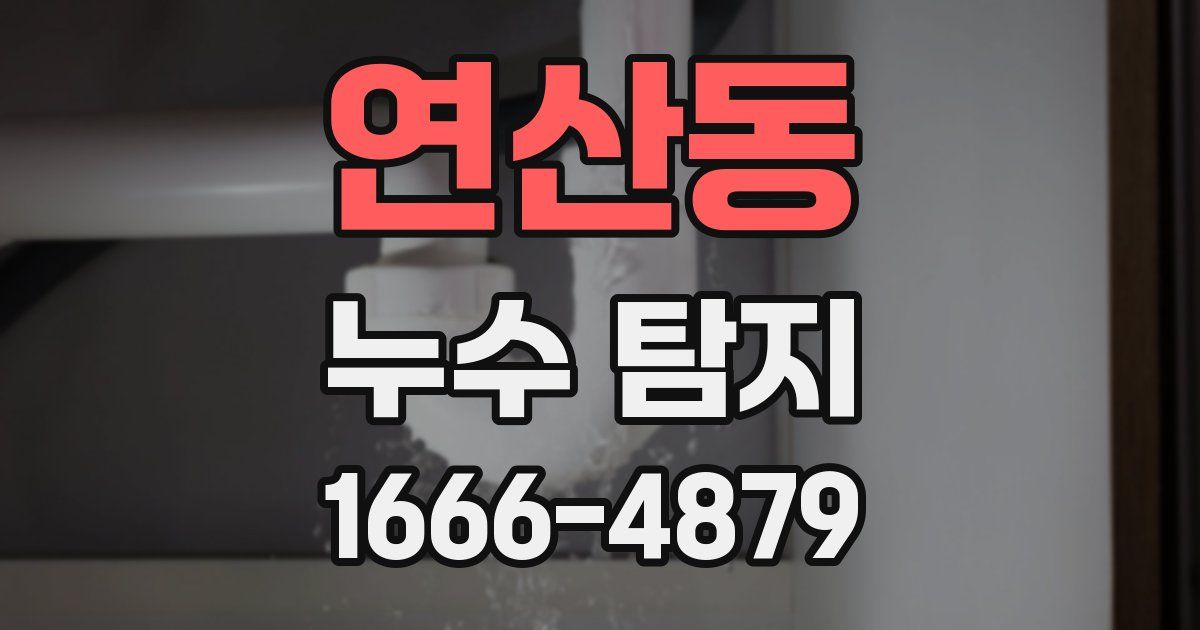 연산동 누수 탐지
