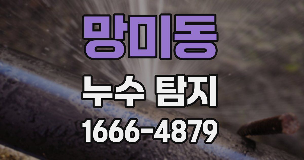 망미동 누수 탐지