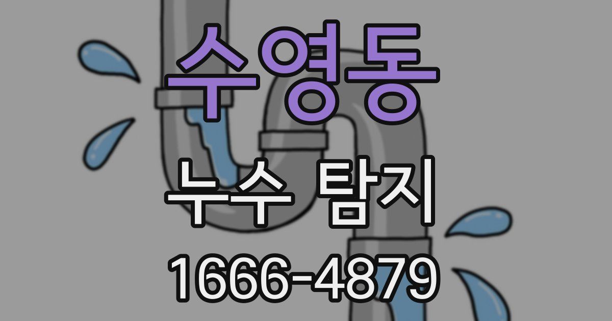 수영동 누수 탐지