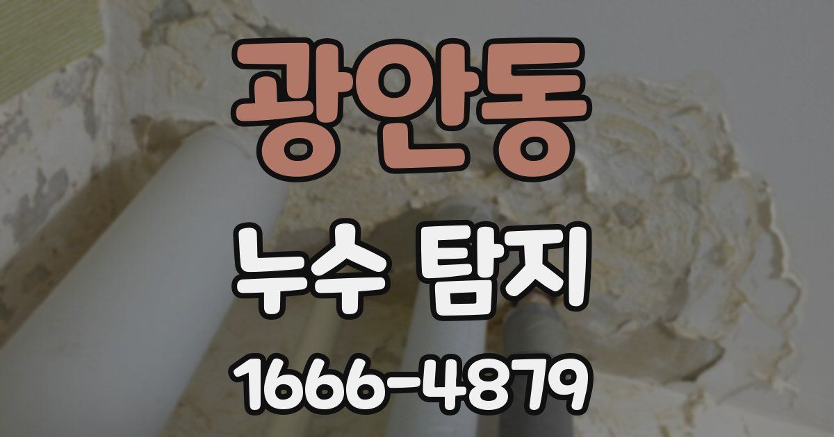 광안동 누수 탐지