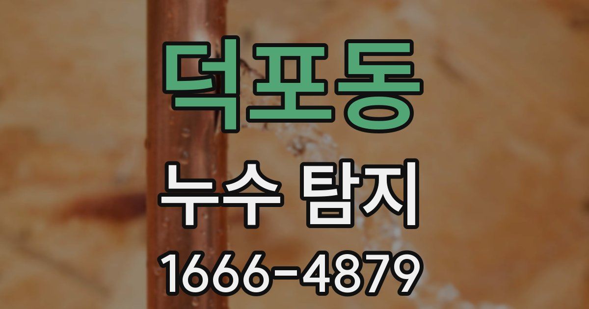 덕포동 누수 탐지