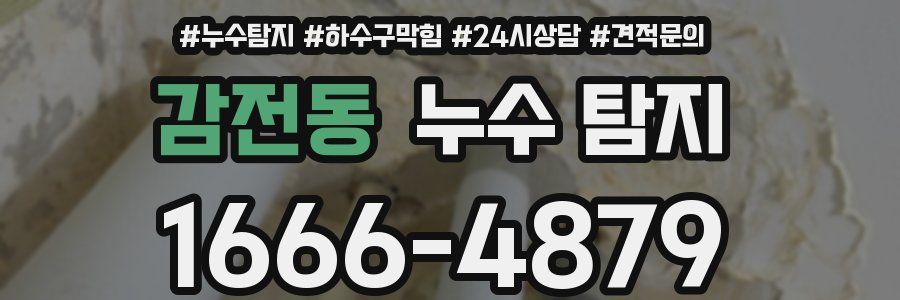 감전동 누수 탐지