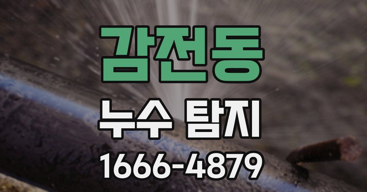 감전동 누수 탐지