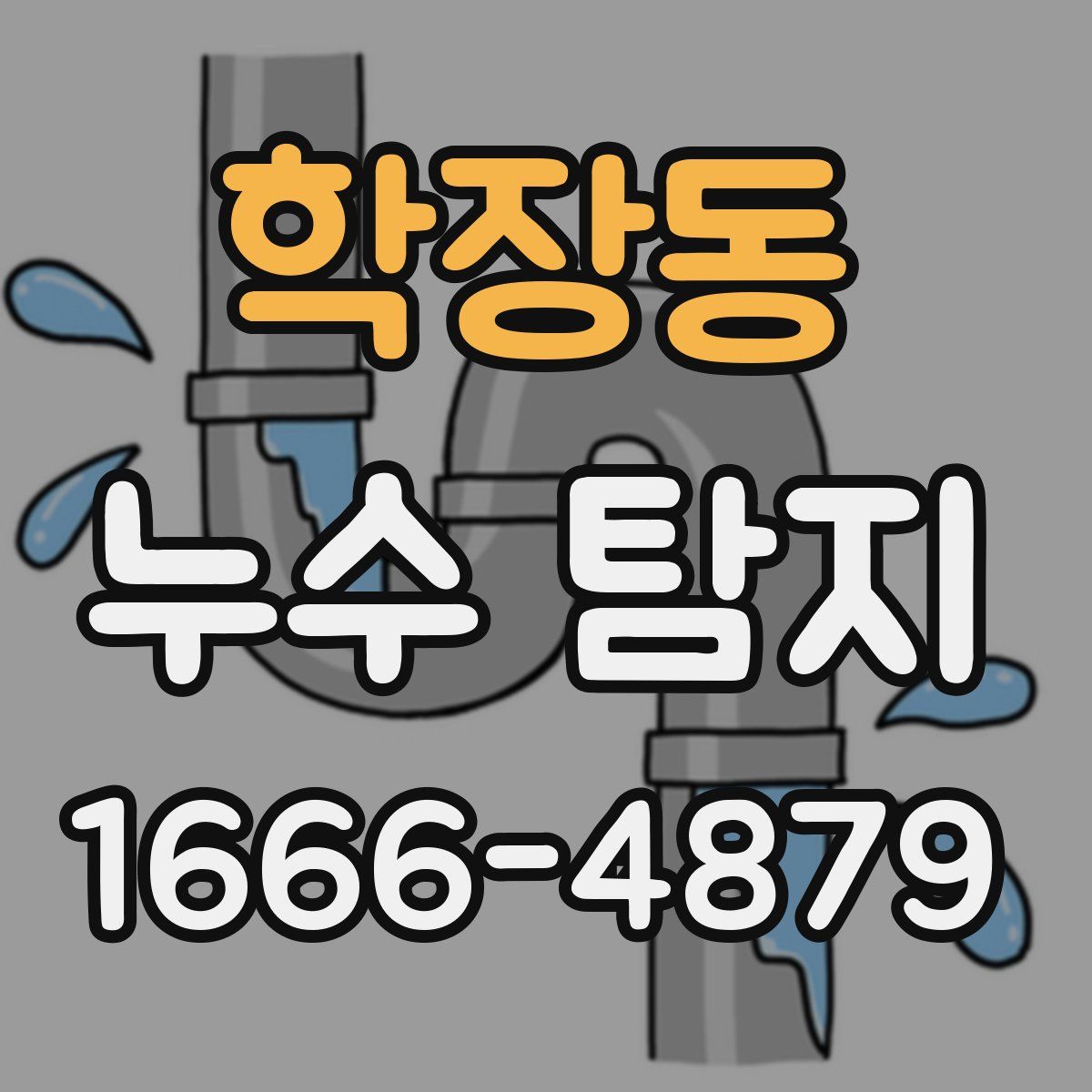 학장동 누수 탐지