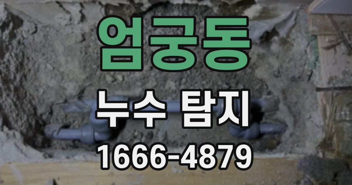 엄궁동 누수 탐지