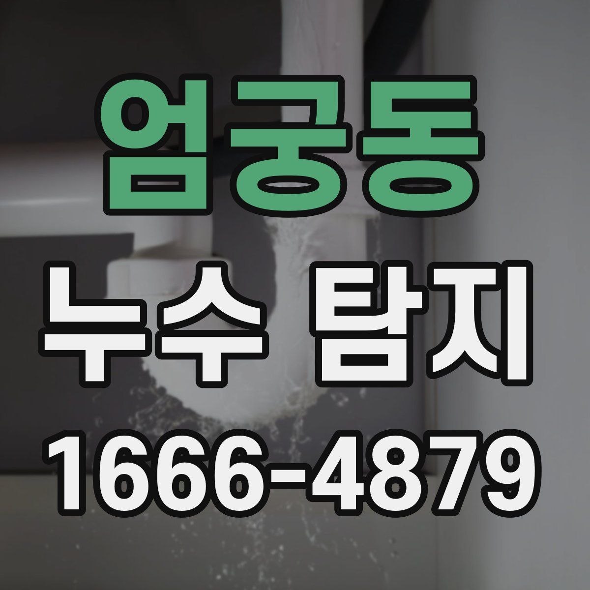 엄궁동 누수 탐지