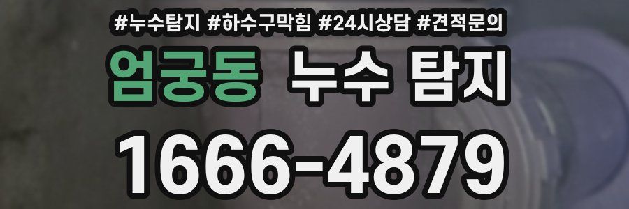 엄궁동 누수 탐지