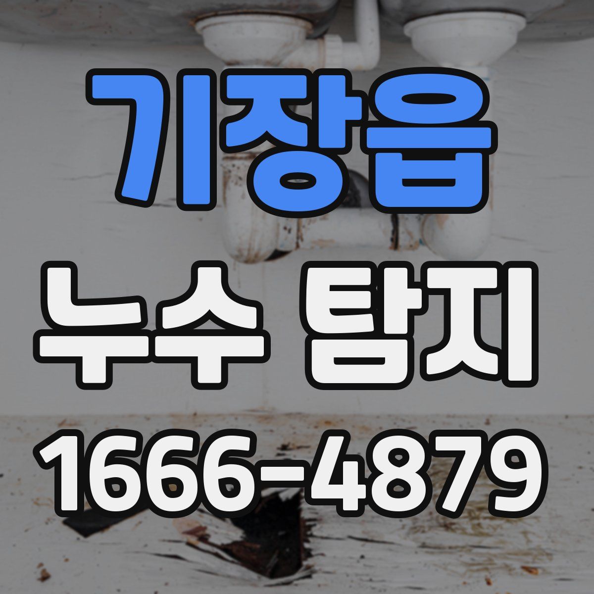 기장읍 누수 탐지