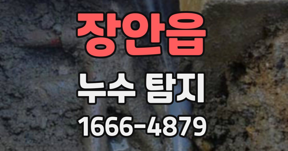 장안읍 누수 탐지