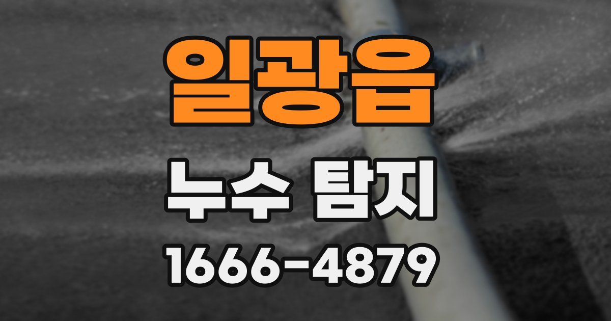 일광읍 누수 탐지