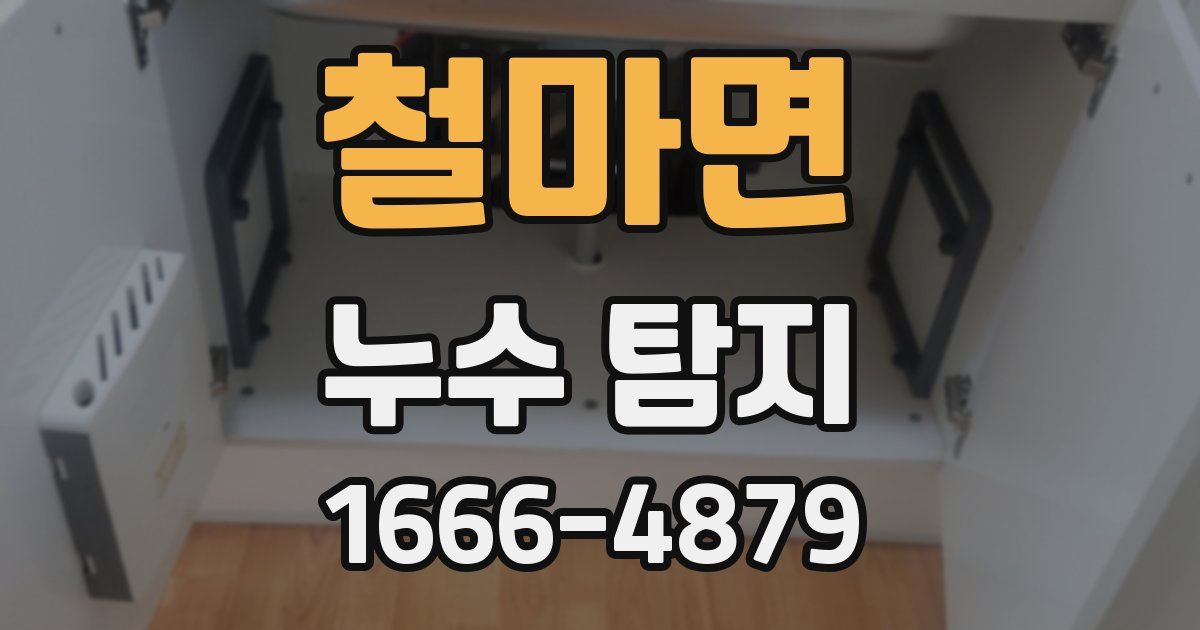 철마면 누수 탐지