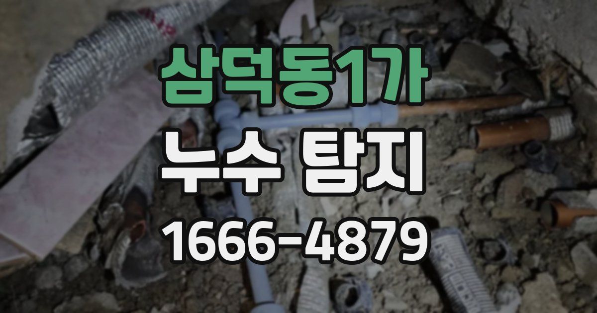 삼덕동1가 누수 탐지