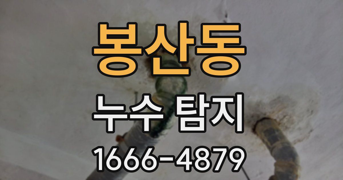 봉산동 누수 탐지