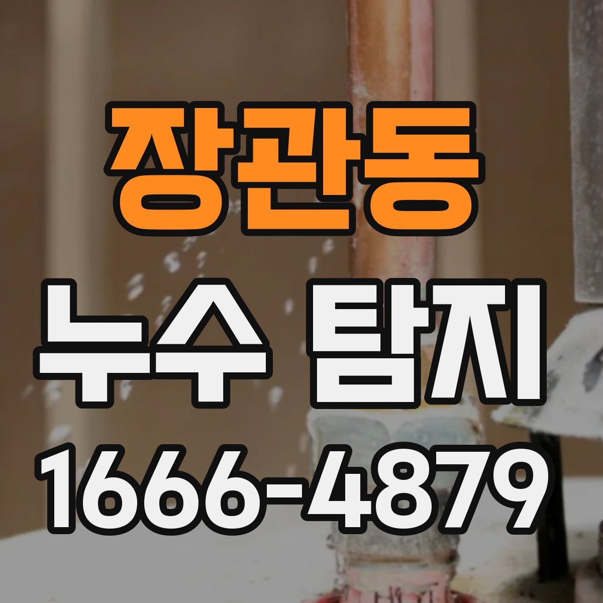 장관동 누수 탐지