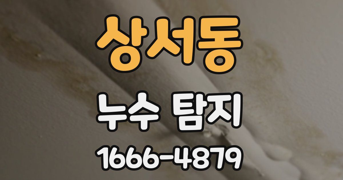 상서동 누수 탐지